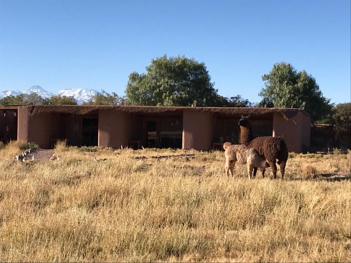 Eco-Lodge El Andinista San Pedro de Atacama Exteriör bild