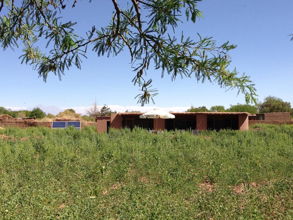 Eco-Lodge El Andinista San Pedro de Atacama Exteriör bild